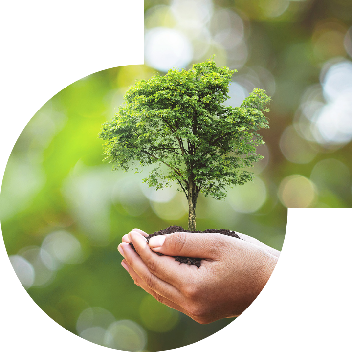 关怀人类、文化、环境与社会